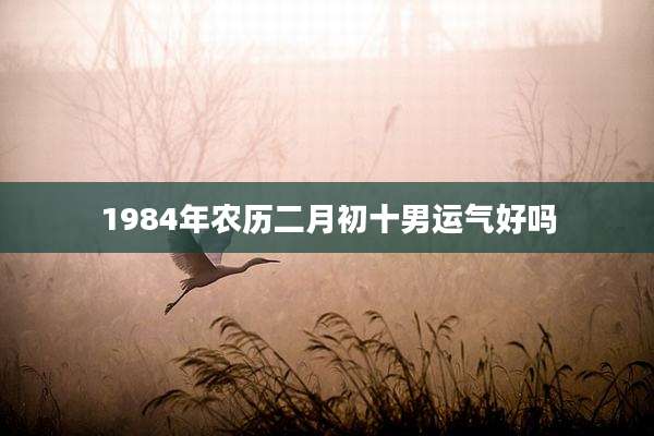 1984年农历二月初十男运气好吗