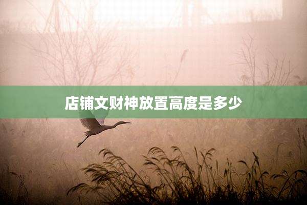 店铺文财神放置高度是多少