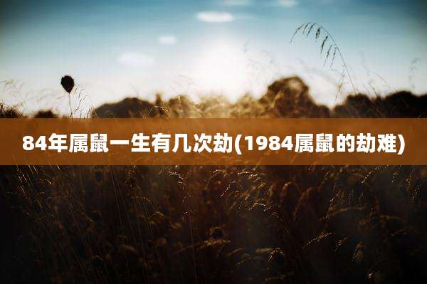 84年属鼠一生有几次劫(1984属鼠的劫难)