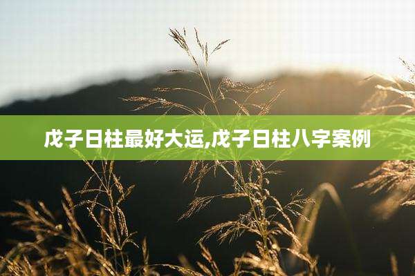 戊子日柱最好大运,戊子日柱八字案例