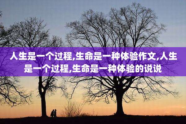 人生是一个过程,生命是一种体验作文,人生是一个过程,生命是一种体验的说说