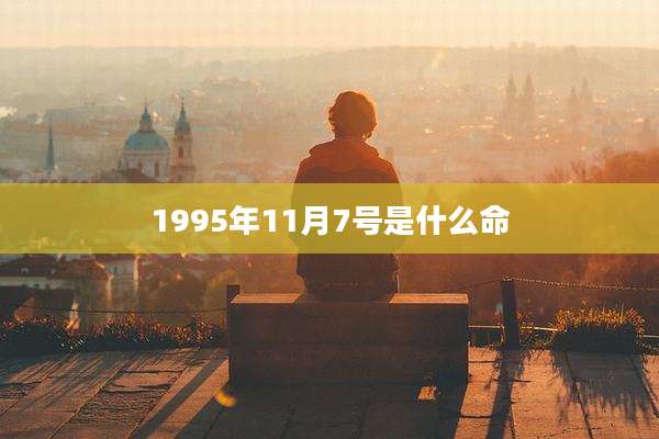 1995年11月7号是什么命
