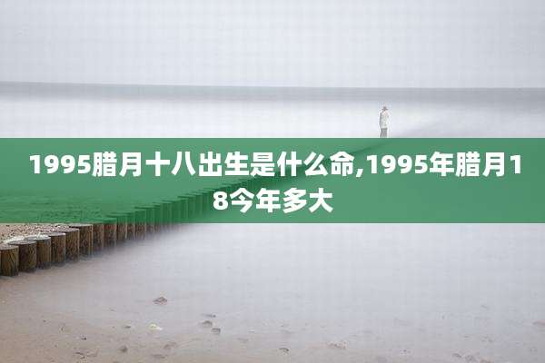 1995腊月十八出生是什么命,1995年腊月18今年多大