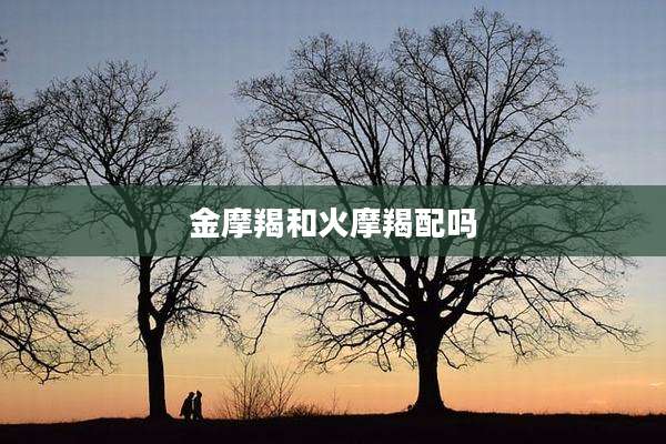 金摩羯和火摩羯配吗