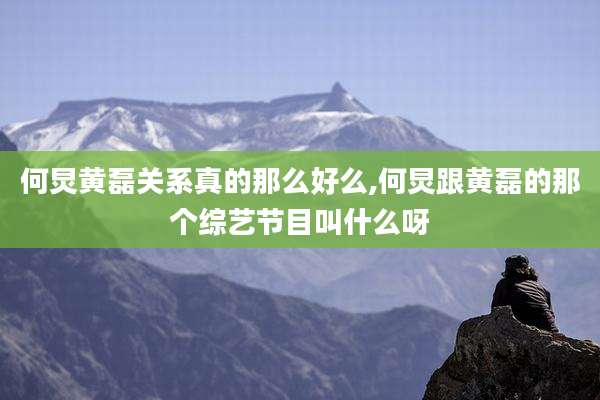 何炅黄磊关系真的那么好么,何炅跟黄磊的那个综艺节目叫什么呀
