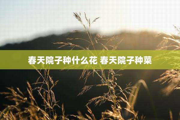 春天院子种什么花 春天院子种菜