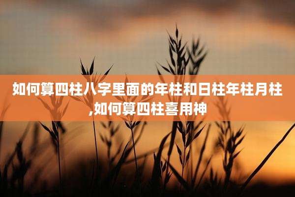 如何算四柱八字里面的年柱和日柱年柱月柱,如何算四柱喜用神