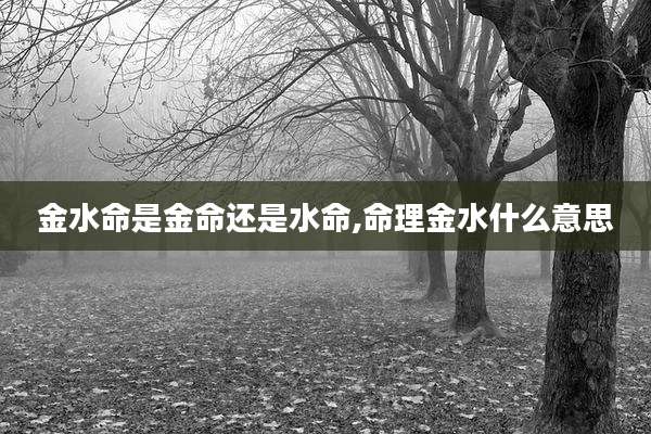 金水命是金命还是水命,命理金水什么意思