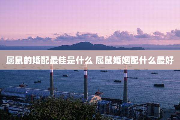 属鼠的婚配最佳是什么 属鼠婚姻配什么最好