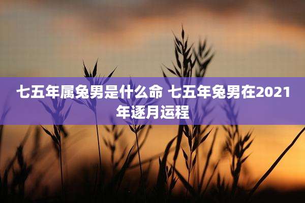 七五年属兔男是什么命 七五年兔男在2021年逐月运程