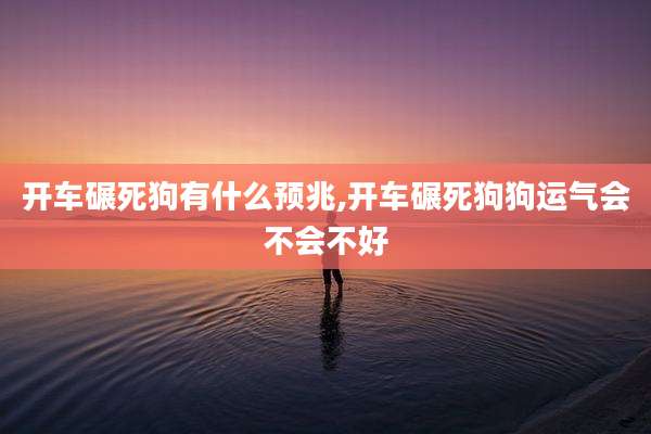开车碾死狗有什么预兆,开车碾死狗狗运气会不会不好