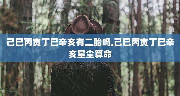 己巳丙寅丁巳辛亥有二胎吗,己巳丙寅丁巳辛亥星尘算命