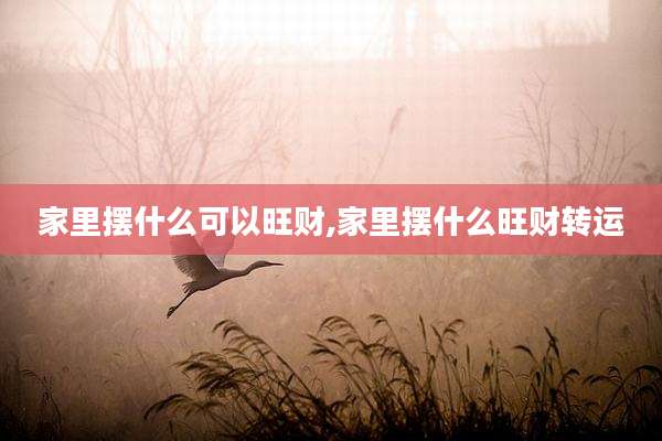 家里摆什么可以旺财,家里摆什么旺财转运