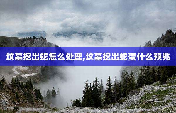 坟墓挖出蛇怎么处理,坟墓挖出蛇蛋什么预兆