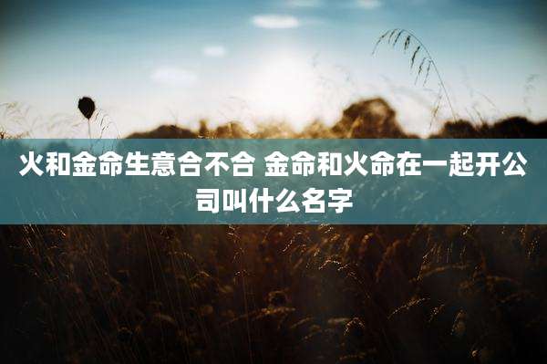 火和金命生意合不合 金命和火命在一起开公司叫什么名字