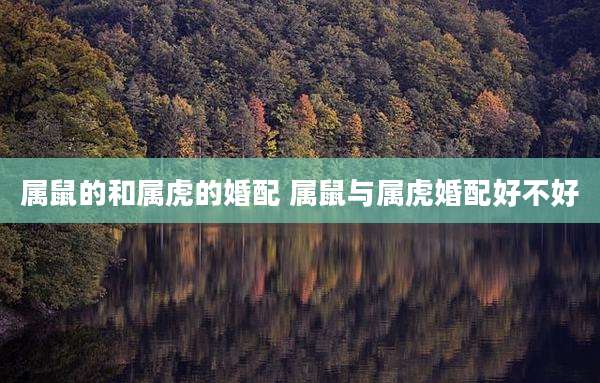 属鼠的和属虎的婚配 属鼠与属虎婚配好不好