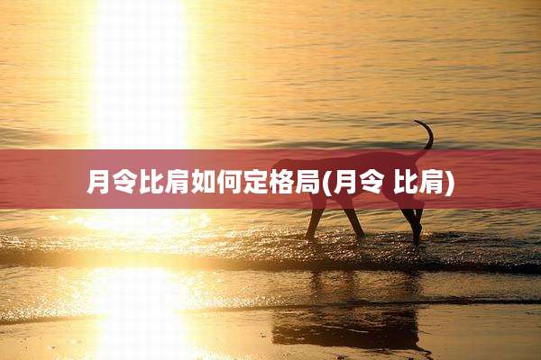月令比肩如何定格局(月令 比肩)
