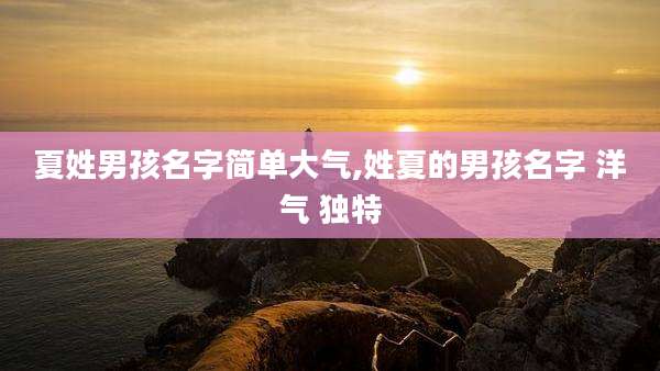 夏姓男孩名字简单大气,姓夏的男孩名字 洋气 独特