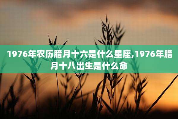 1976年农历腊月十六是什么星座,1976年腊月十八出生是什么命