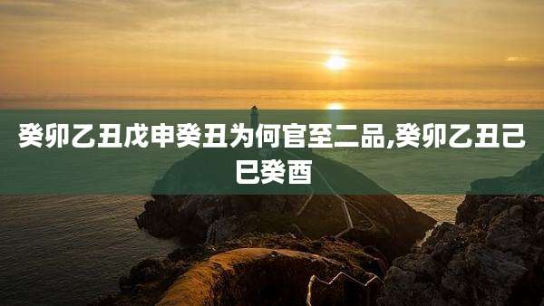 癸卯乙丑戊申癸丑为何官至二品,癸卯乙丑己巳癸酉