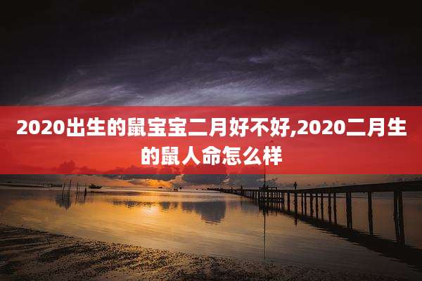 2020出生的鼠宝宝二月好不好,2020二月生的鼠人命怎么样