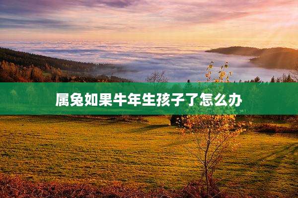 属兔如果牛年生孩子了怎么办
