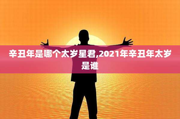 辛丑年是哪个太岁星君,2021年辛丑年太岁是谁