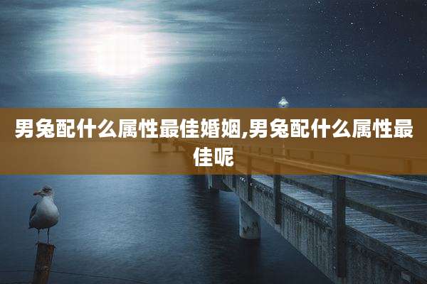 男兔配什么属性最佳婚姻,男兔配什么属性最佳呢