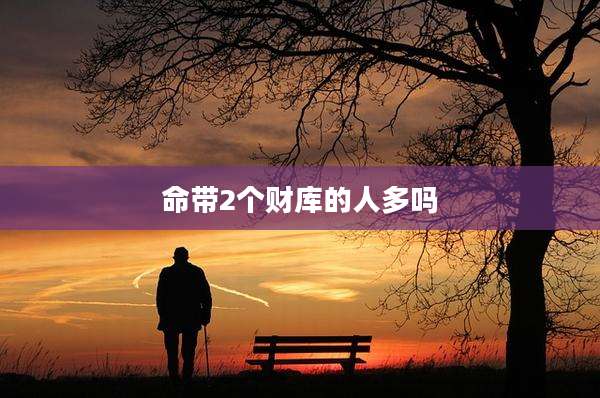 命带2个财库的人多吗