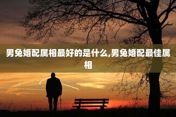 男兔婚配属相最好的是什么,男兔婚配最佳属相