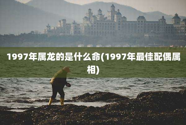 1997年属龙的是什么命(1997年最佳配偶属相)