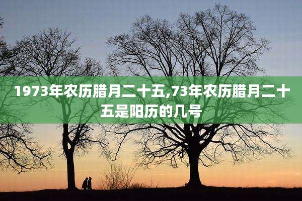 1973年农历腊月二十五,73年农历腊月二十五是阳历的几号