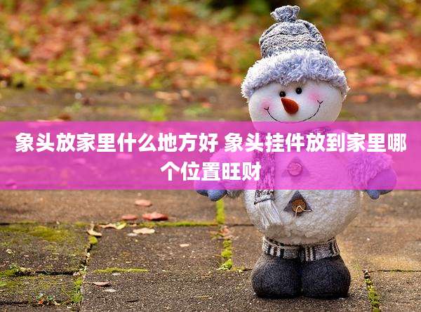 象头放家里什么地方好 象头挂件放到家里哪个位置旺财
