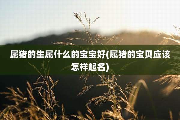 属猪的生属什么的宝宝好(属猪的宝贝应该怎样起名)