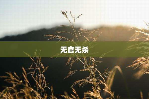 无官无杀