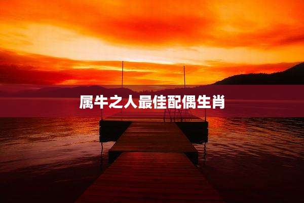 属牛之人最佳配偶生肖