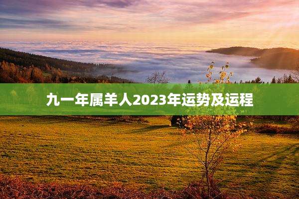 九一年属羊人2023年运势及运程