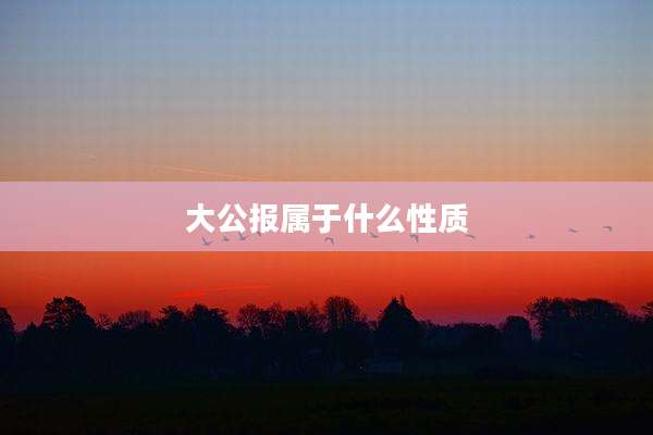 大公报属于什么性质