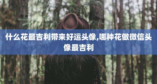什么花最吉利带来好运头像,哪种花做微信头像最吉利
