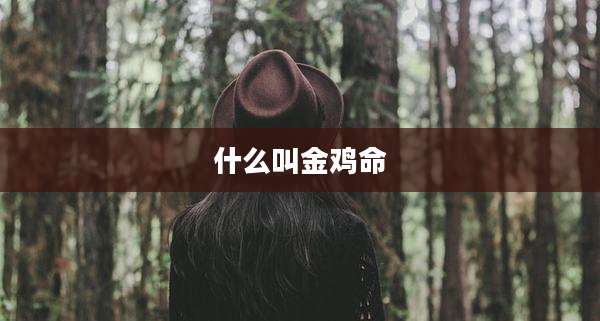 什么叫金鸡命