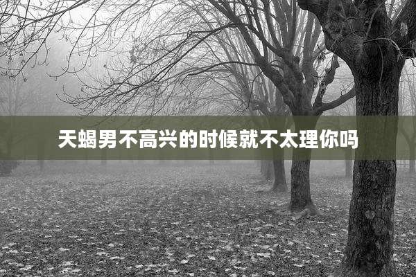天蝎男不高兴的时候就不太理你吗