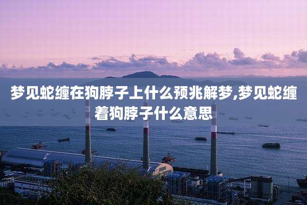 梦见蛇缠在狗脖子上什么预兆解梦,梦见蛇缠着狗脖子什么意思