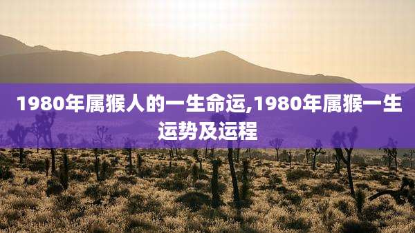 1980年属猴人的一生命运,1980年属猴一生运势及运程