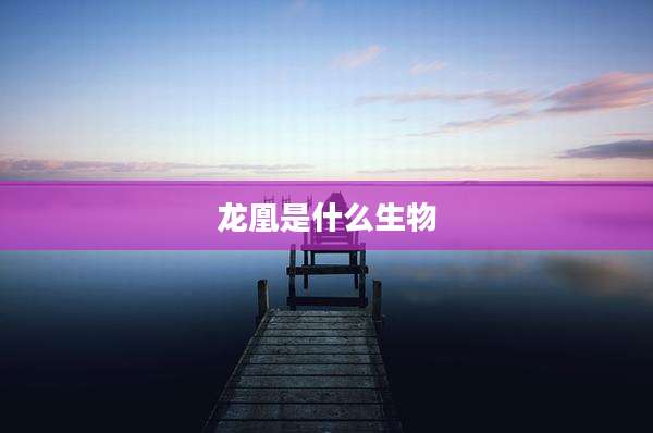 龙凰是什么生物