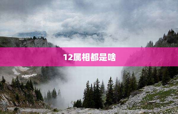 12属相都是啥