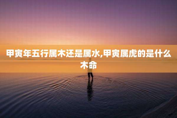 甲寅年五行属木还是属水,甲寅属虎的是什么木命
