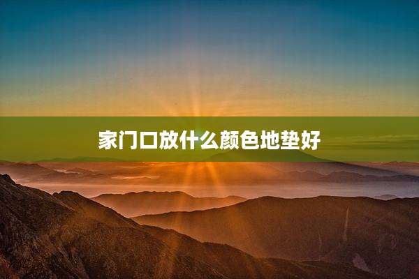 家门口放什么颜色地垫好