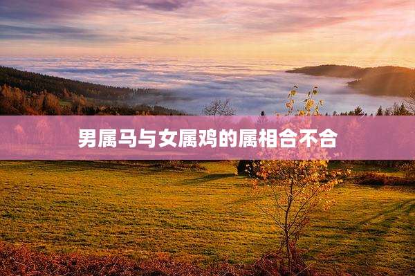 男属马与女属鸡的属相合不合