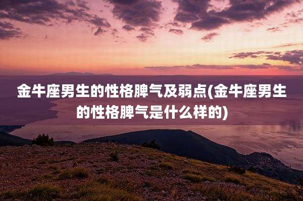 金牛座男生的性格脾气及弱点(金牛座男生的性格脾气是什么样的)
