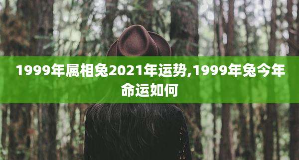 1999年属相兔2021年运势,1999年兔今年命运如何